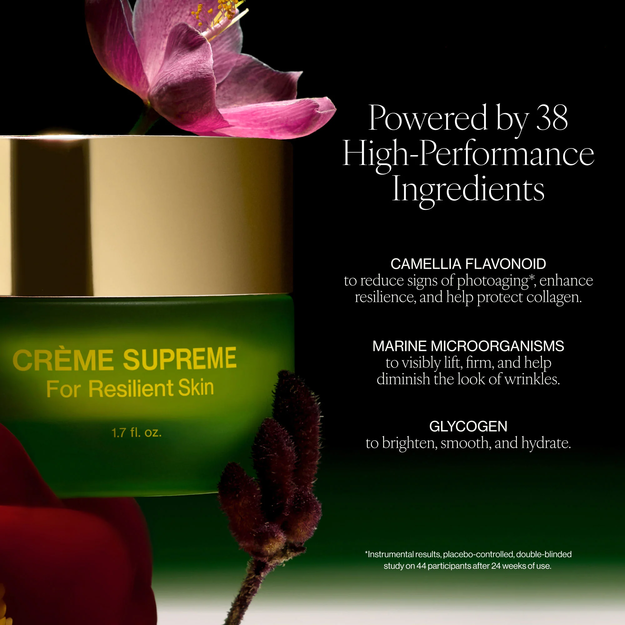 Crème Supreme - Image 6