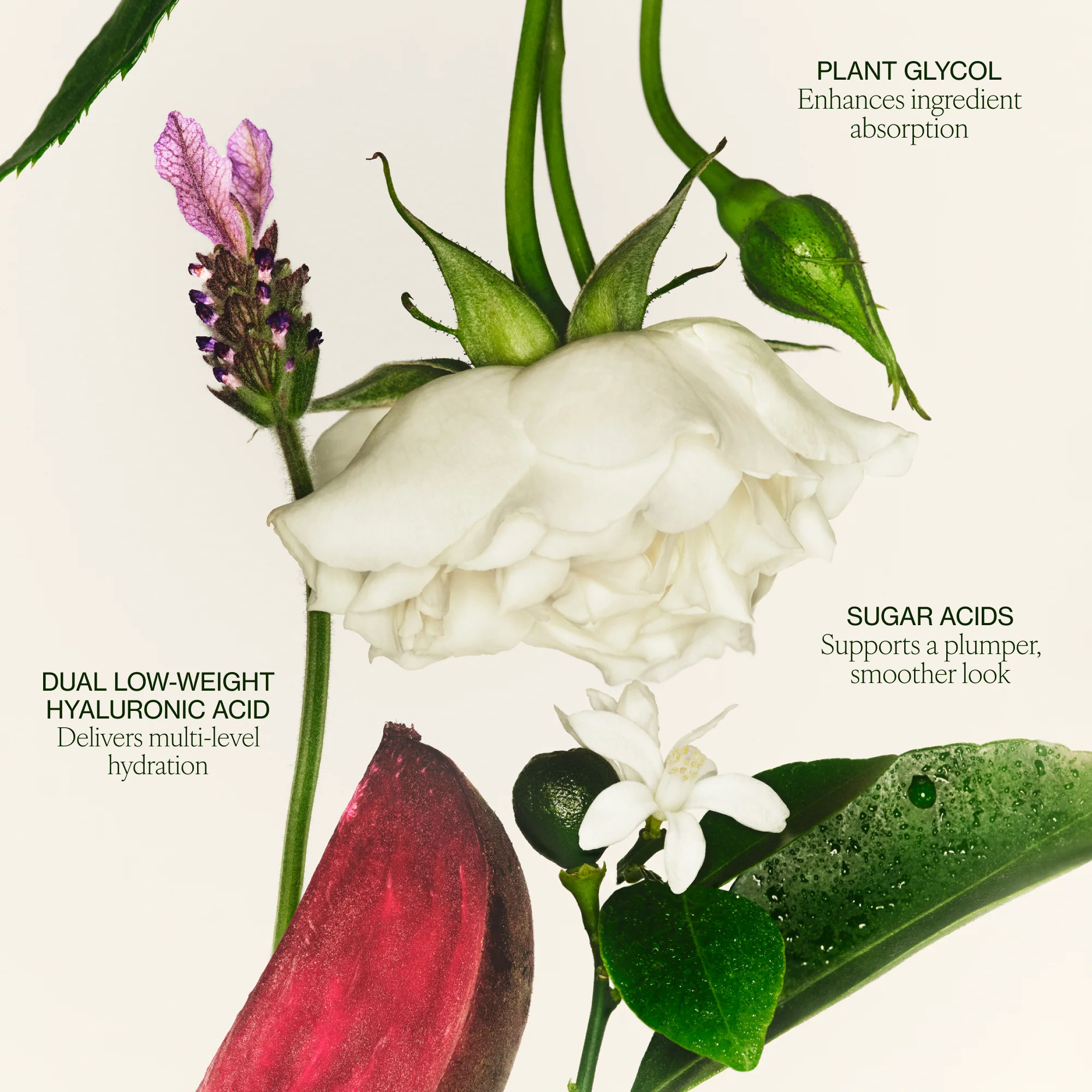 Hydrating Floral Essence - Image 4