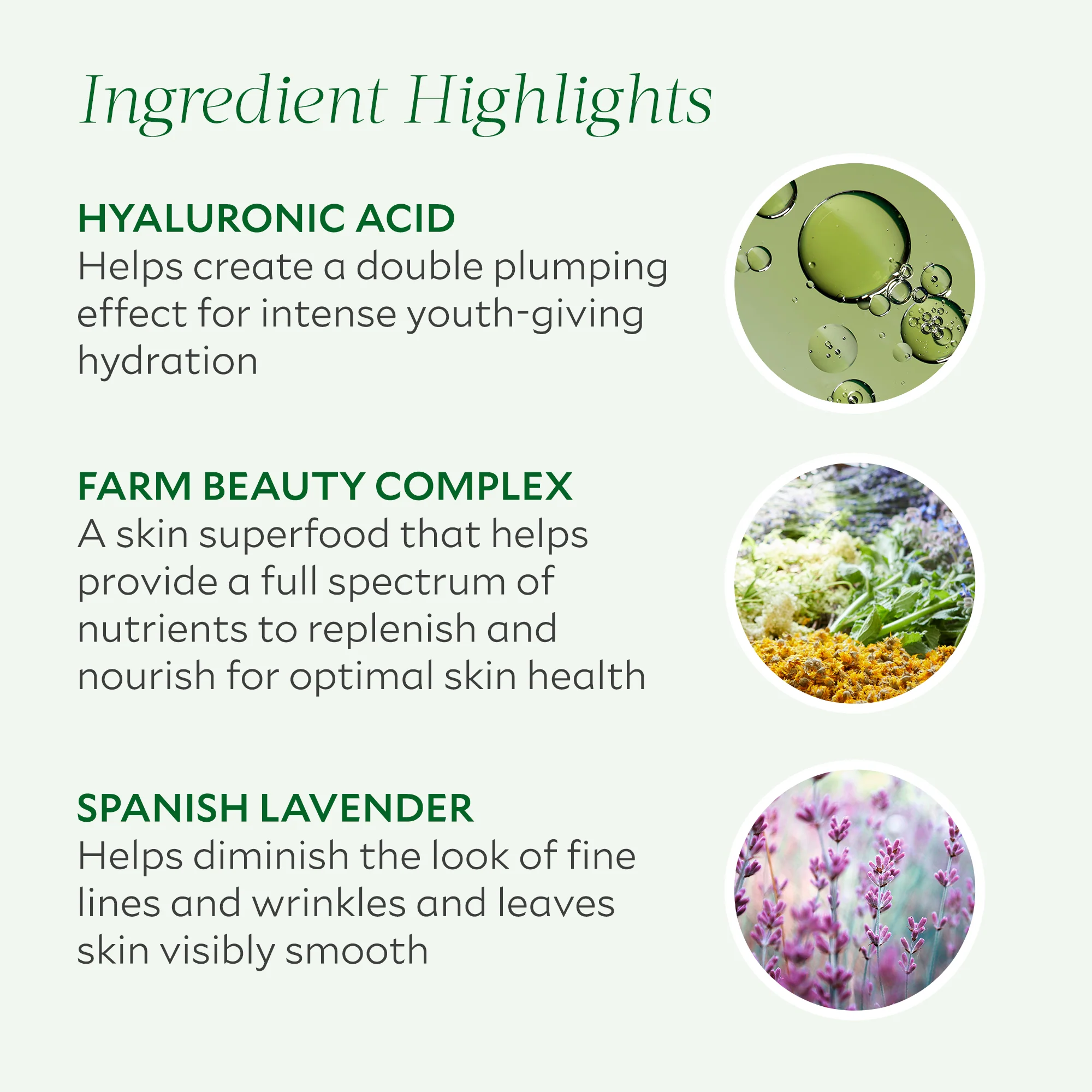 Repairative Moisturizer - Image 5