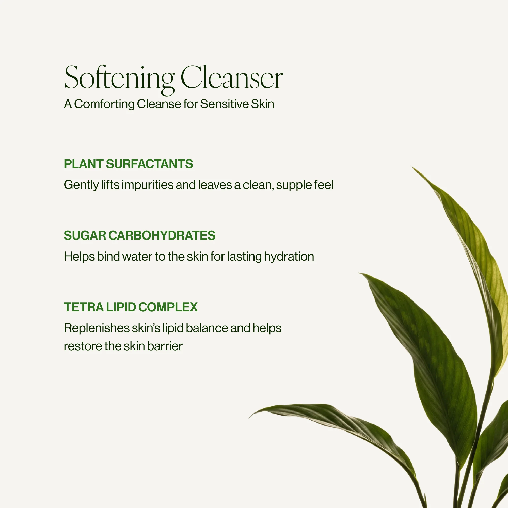 Superkind Softening Cleanser - Image 4
